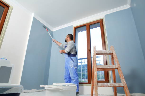 Best Post-Construction Mold Inspection  in Morrisville, VT