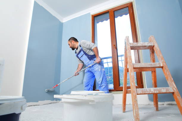Best Commercial Mold Inspection  in Morrisville, VT