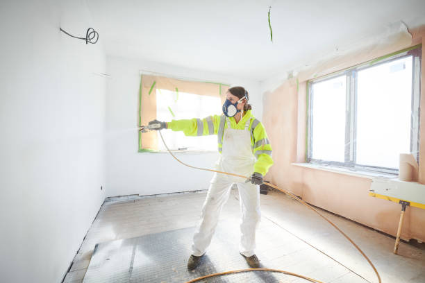 Best Mold Prevention Services  in Morrisville, VT