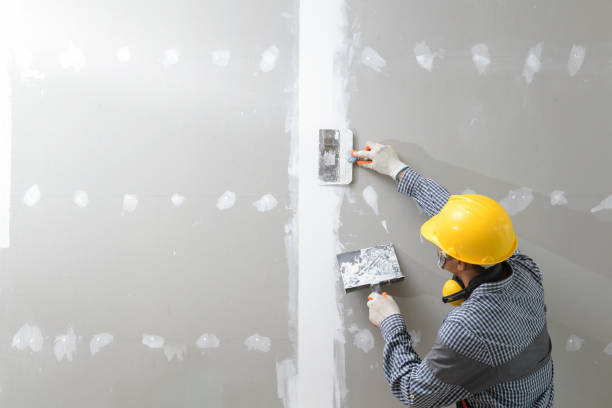 Best Biohazard Mold Removal  in Morrisville, VT