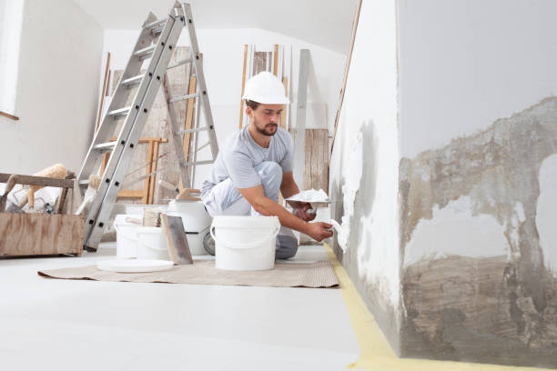 Best Attic Mold Removal  in Morrisville, VT