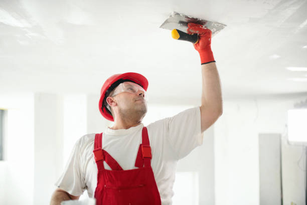 Best Crawl Space Mold Remediation  in Morrisville, VT