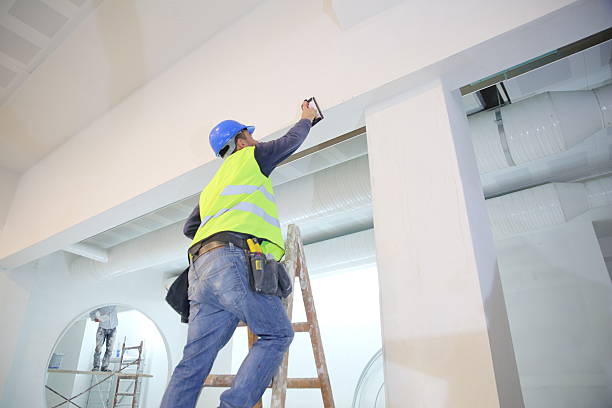 Best Dehumidification Services  in Morrisville, VT